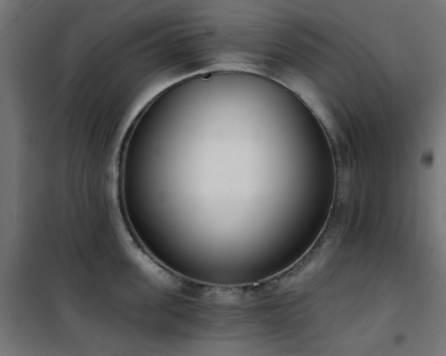 X0000101460955200807071427
