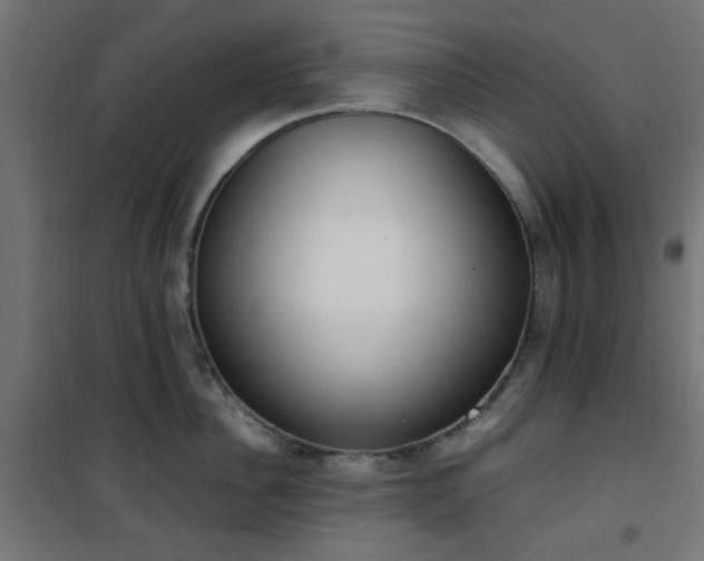 X0000101460956200807071427