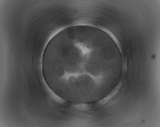 X0000101460957200807071427