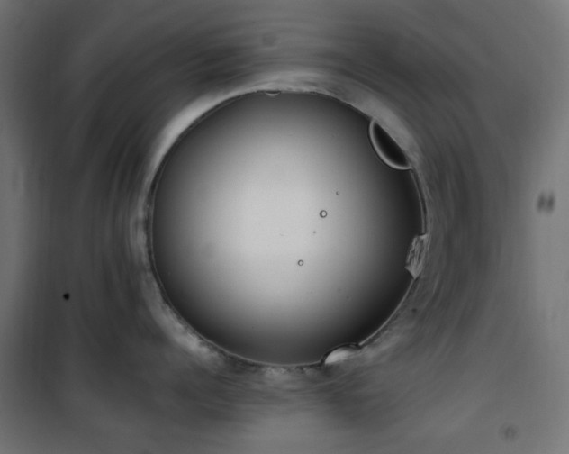 X0000101460960200807071427
