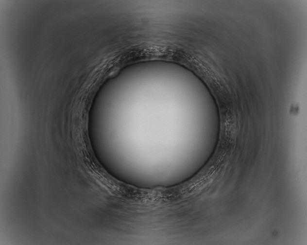 X0000101460961200807071427