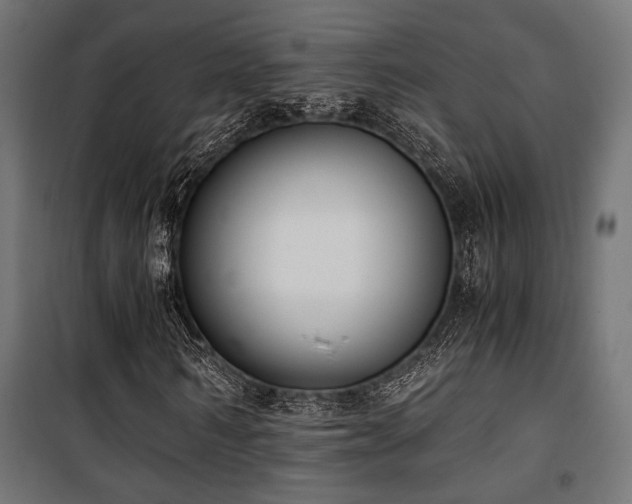 X0000101460962200807071427