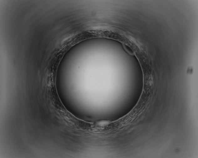 X0000101460965200807071427