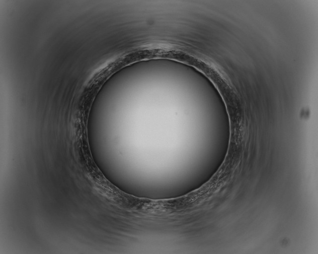 X0000101460967200807071426