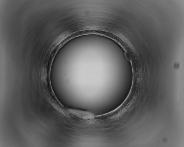 X0000101460969200807071426