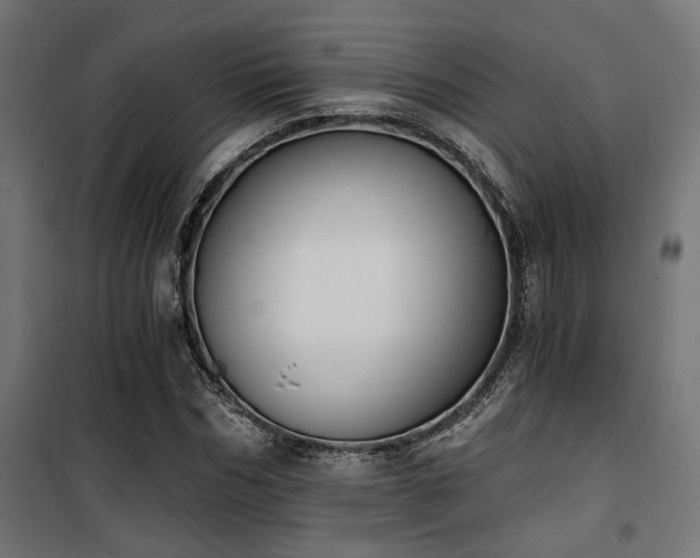X0000101460970200807071426