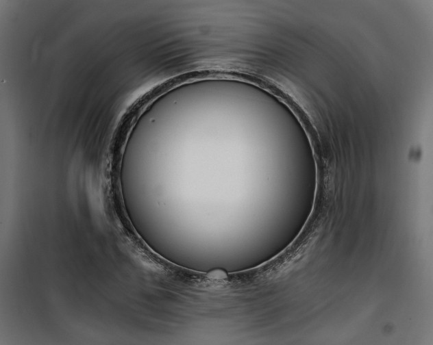 X0000101460971200807071426