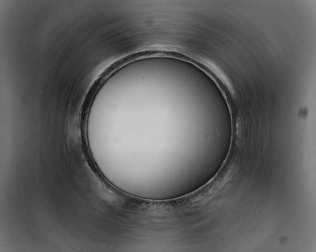 X0000101460972200807071426