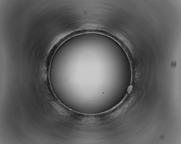X0000101460973200807071426
