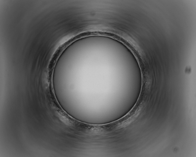 X0000101460974200807071426