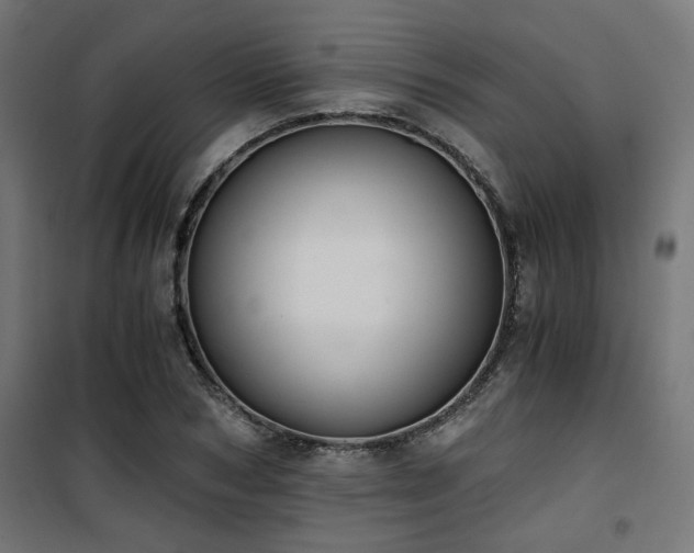 X0000101460978200807071426