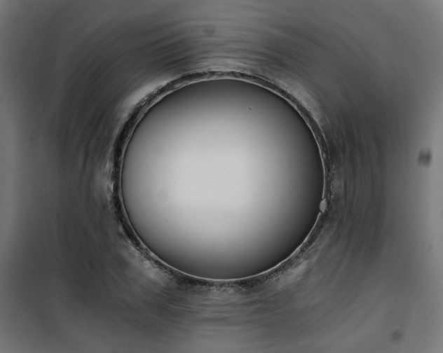 X0000101460979200807071426