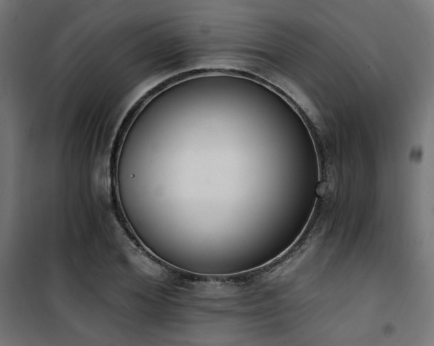 X0000101460980200807071426