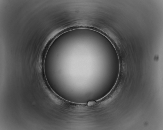 X0000101460981200807071426