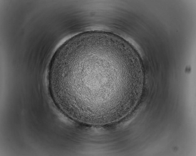 X0000101460983200807071426