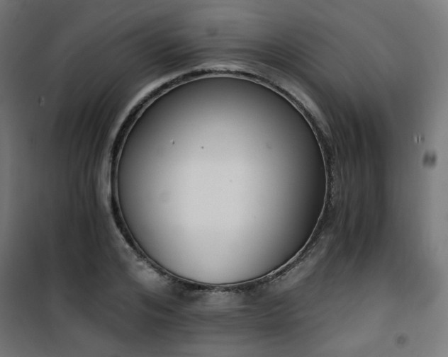 X0000101460984200807071426