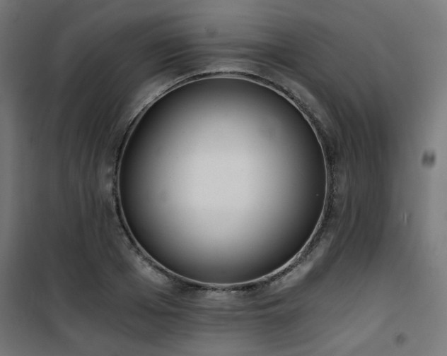 X0000101460985200807071426