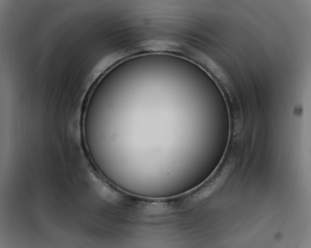 X0000101460986200807071426