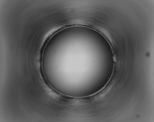 X0000101460987200807071426