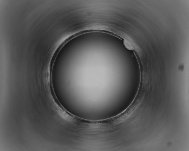 X0000101460988200807071426