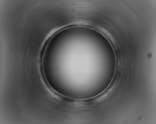 X0000101460989200807071426