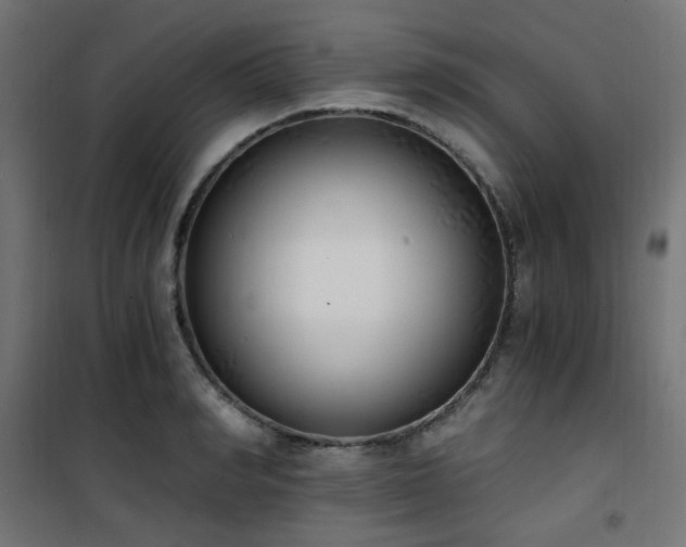 X0000101460990200807071426
