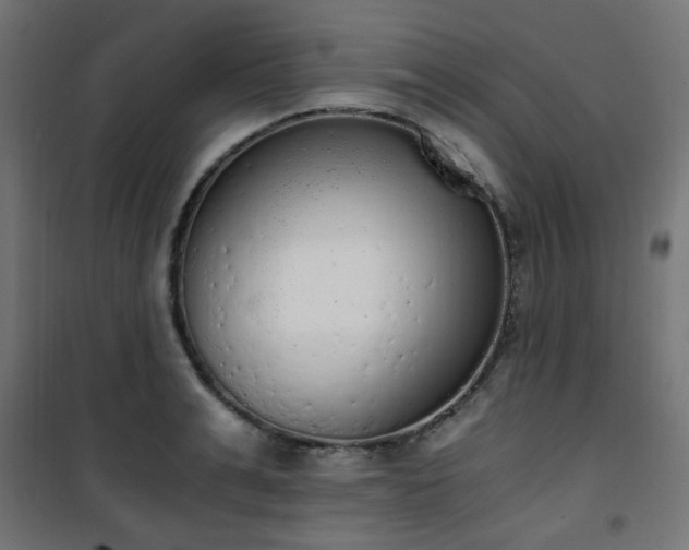 X0000101460991200807071426