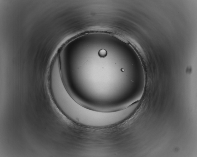 X0000101460992200807071426