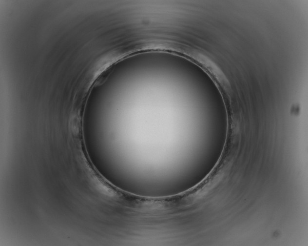 X0000101460993200807071426