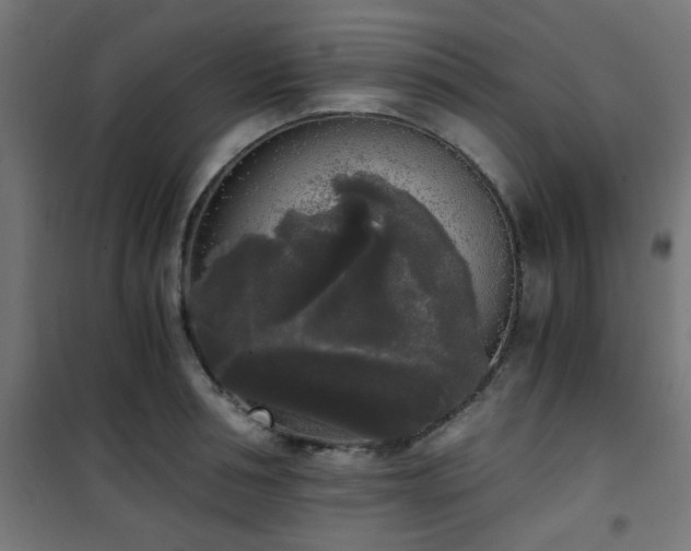 X0000101460994200807071426