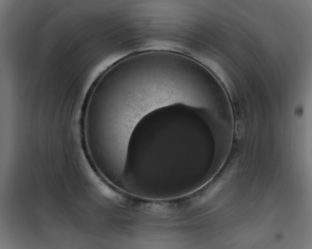 X0000101460995200807071426