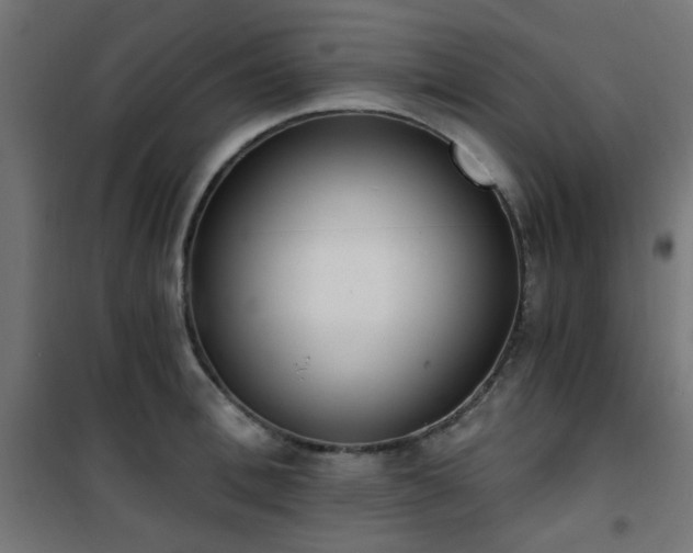 X0000101460996200807071426