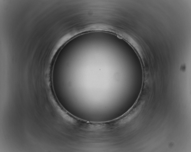 X0000101460997200807071426