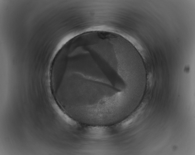 X0000101460998200807071426
