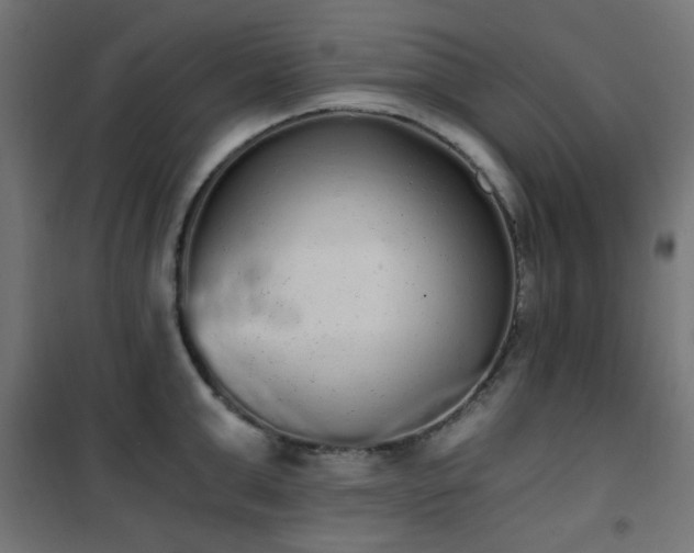 X0000101460999200807071426