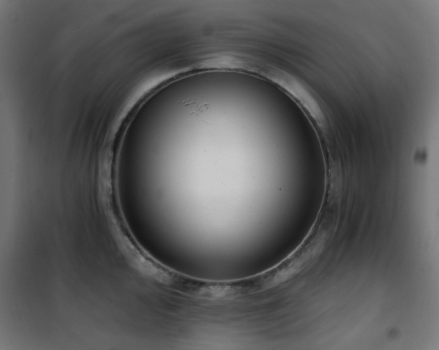 X0000101461000200807071426
