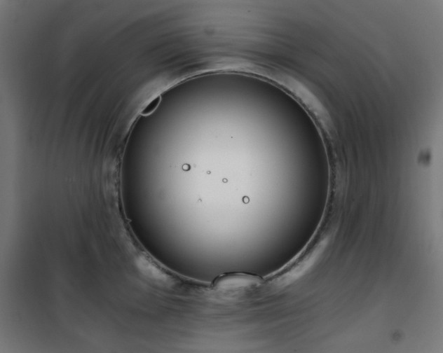 X0000101461001200807071426