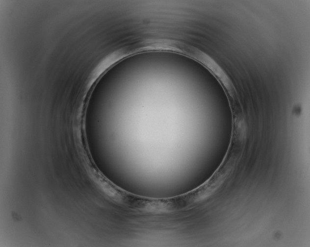 X0000101461002200807071426