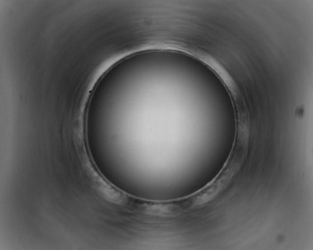 X0000101461004200807071426