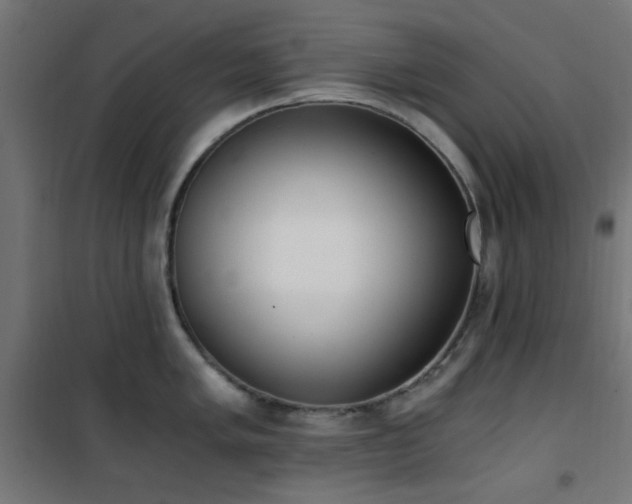 X0000101461005200807071426