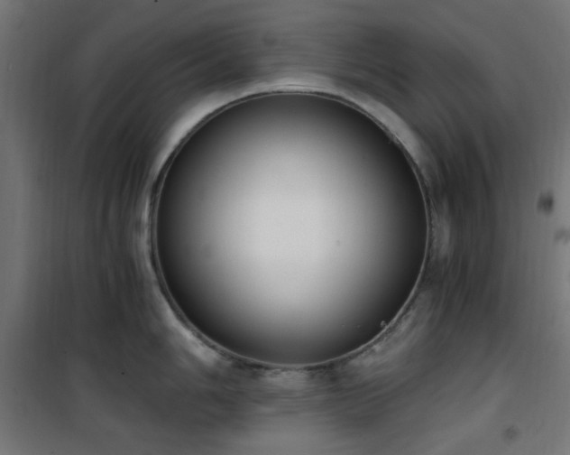 X0000101461006200807071426