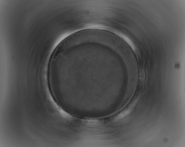 X0000101461007200807071426