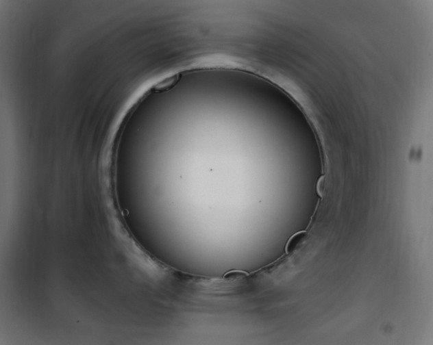 X0000101461008200807071426