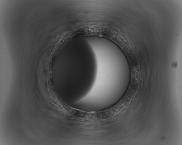 X0000101461009200807071425