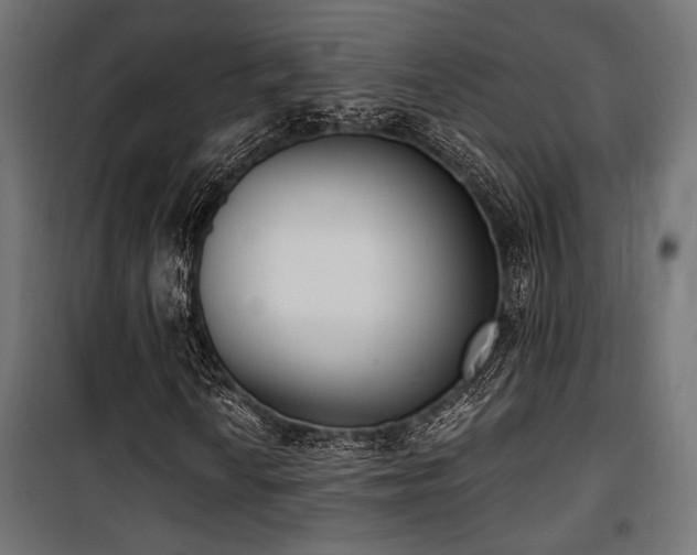 X0000101461010200807071425