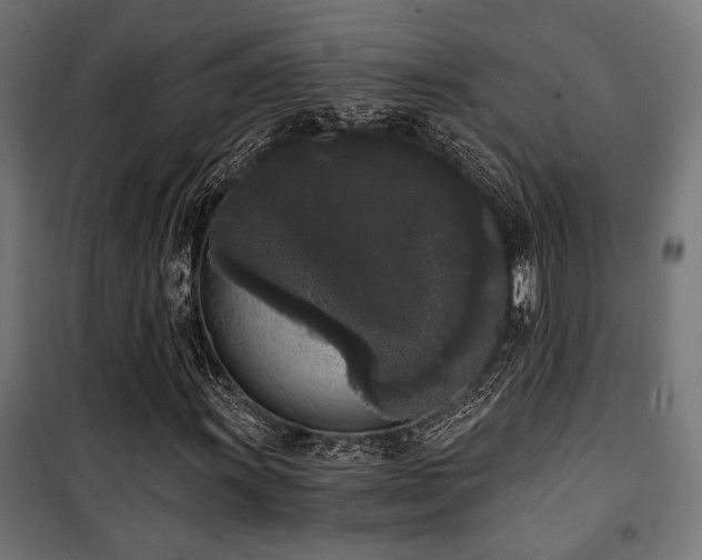 X0000101461011200807071425