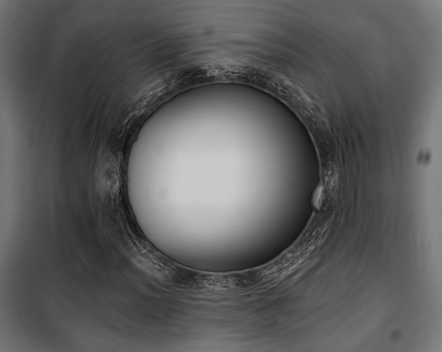 X0000101461012200807071425
