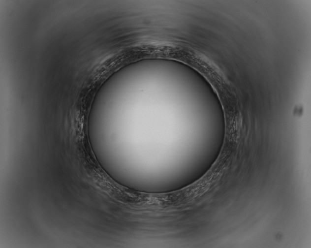 X0000101461013200807071425