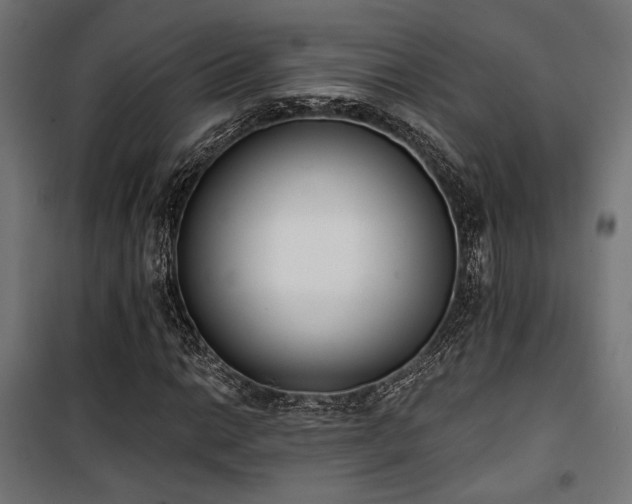 X0000101461014200807071425