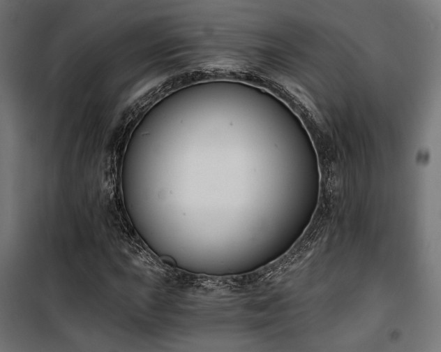 X0000101461015200807071425